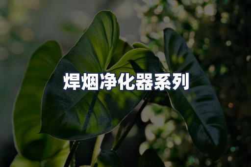焊烟净化器系列
